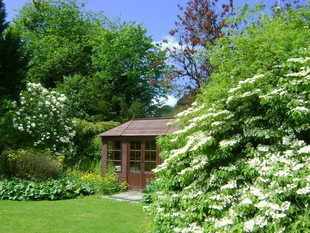 The Forest Country House B&B Newtown  Exterior foto